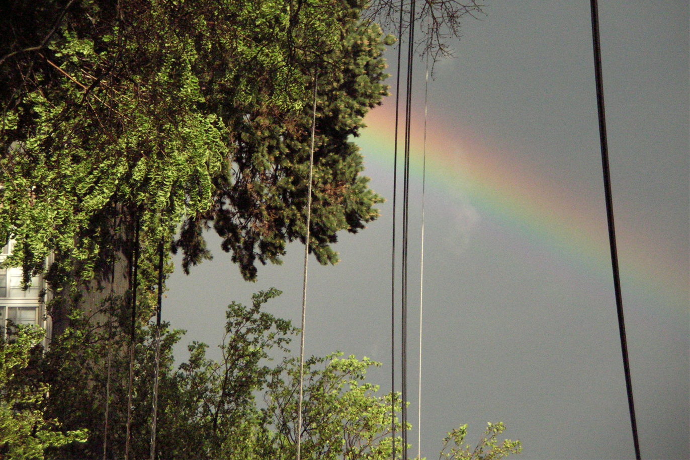 What I Learned From Seven Weeks Without My Headphones